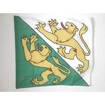 DRAPEAU CANTON DE THURGOVIE 90x90cm - DRAPEAU THURGAU - TG SUISSE 90 x 90 cm Fourreau pour hampe
