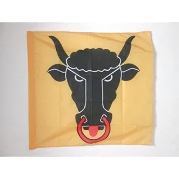 DRAPEAU CANTON D\'URI 90x90cm - DRAPEAU URI - UR SUISSE 90 x 90 cm Fourreau pour hampe