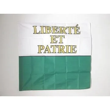 DRAPEAU CANTON DE VAUD 90x90cm - DRAPEAU VAUD - VD SUISSE 90 x 90 cm Fourreau pour hampe