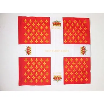DRAPEAU ORDONNANCE DU RÍ?GIMENT COLONEL-GÍ?NÍ?RAL 1780-1791 90x90cm - DRAPEAU INFANTERIE DU ROYAUME DE FRANCE 90 x 90 cm Fourreau pour hampe