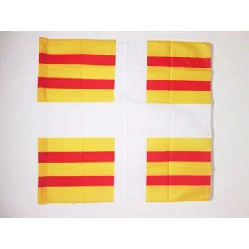 DRAPEAU ORDONNANCE DU RÍ?GIMENT DE BÍ?ARN 1684-1762 90x90cm - DRAPEAU BALAGNY 90 x 90 cm Fourreau pour hampe