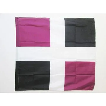 DRAPEAU ORDONNANCE DU RÍ?GIMENT D\'AUVERGNE 1635-1791 90x90cm - DRAPEAU BOURG DE LESPINASSE 90 x 90 cm Fourreau pour hampe