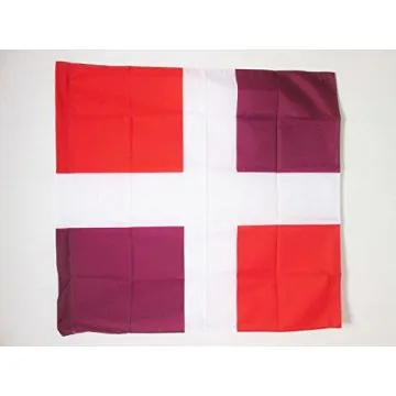 DRAPEAU ORDONNANCE DU RÍ?GIMENT DE GUYENNE 1610-1794 90x90cm - DRAPEAU VAUBÍ?COURT 90 x 90 cm Fourreau pour hampe