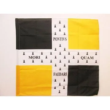 DRAPEAU ORDONNANCE DU RÍ?GIMENT DE BRETAGNE 1757 Í? 1791 90x90cm - DRAPEAU INFANTERIE DU ROYAUME DE FRANCE 90 x 90 cm Fourreau pour hampe