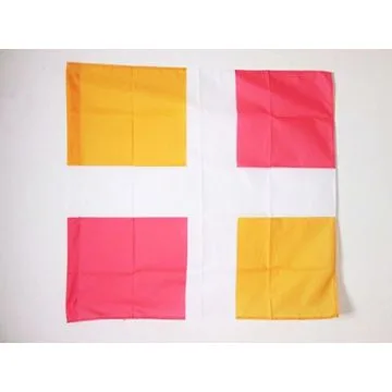 DRAPEAU ORDONNANCE DU RÍ?GIMENT DE NEUSTRIE 1776-1794 90x90cm - DRAPEAU INFANTERIE DU ROYAUME DE FRANCE 90 x 90 cm Fourreau pour hampe