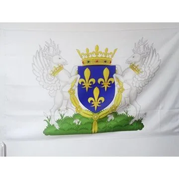 DRAPEAU BLASON ROYAUME DE FRANCE CHARLES VI 150x90cm - DRAPEAU ROYALISTE FRANÍ?AIS 90 x 150 cm Fourreau pour hampe