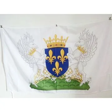 DRAPEAU BLASON ROYAUME DE FRANCE CHARLES VII 150x90cm - DRAPEAU ROYALISTE FRANÍ?AIS 90 x 150 cm Fourreau pour hampe
