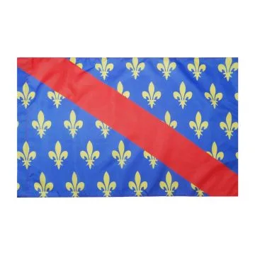 DRAPEAU PROVINCE DU BOURBONNAIS 150x90cm - DRAPEAU DUCHÍ? DE BOURBON - FRANCE 90 x 150 cm Fourreau pour hampe