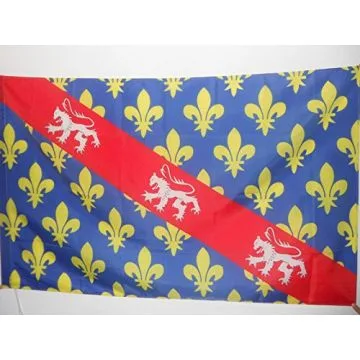 DRAPEAU COMTÍ? DE LA MARCHE 150x90cm - DRAPEAU PROVINCE FRANCE - CREUSE 90 x 150 cm Fourreau pour hampe