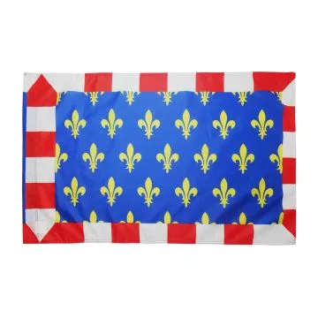 DRAPEAU PROVINCE DE TOURAINE 150x90cm - DRAPEAU TOURS - FRANCE 90 x 150 cm Fourreau pour hampe