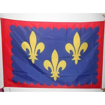 DRAPEAU PROVINCE D\'ANJOU 150x90cm - DRAPEAU ANGERS - FRANCE 90 x 150 cm Fourreau pour hampe