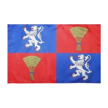 DRAPEAU PROVINCE DE GASCOGNE 150x90cm - DRAPEAU GASCON - FRANCE 90 x 150 cm Fourreau pour hampe
