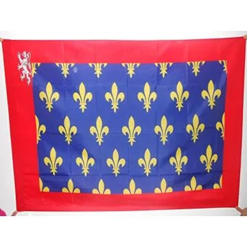 DRAPEAU COMTÍ? DU MAINE 150x90cm - DRAPEAU PROVINCE MAINE ET PERCHE - FRANCE 90 x 150 cm Fourreau pour hampe
