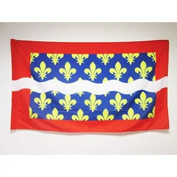 DRAPEAU CHER 150x90cm - DRAPEAU DÍ?PARTEMENT FRANÍ?AIS - CENTRE 90 x 150 cm Fourreau pour hampe