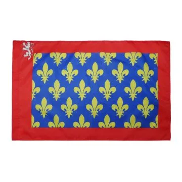 DRAPEAU SARTHE 150x90cm - DRAPEAU DÍ?PARTEMENT FRANÍ?AIS - PAYS DE LA LOIRE 90 x 150 cm Fourreau pour hampe
