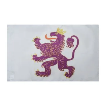 DRAPEAU ROYAUME DE LEÍ?N 910-1230 150x90cm - DRAPEAU MONARCHIE ESPAGNOLE - ESPAGNE 90 x 150 cm Fourreau pour hampe