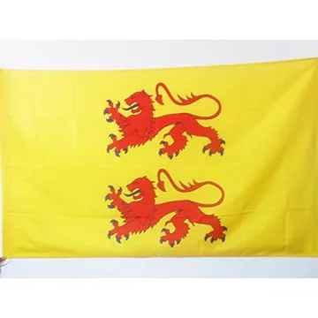 DRAPEAU COMTÍ? DE BIGORRE 150x90cm - DRAPEAU DUCHÍ? DE GASCOGNE 90 x 150 cm Fourreau pour hampe