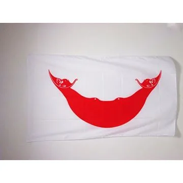 DRAPEAU Í?LE DE PÍ?QUES 150x90cm - DRAPEAU RAPA NUI - CHILI 90 x 150 cm Fourreau pour hampe