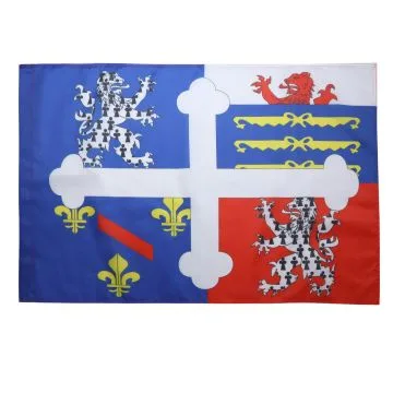 DRAPEAU AIN 150x90cm - DRAPEAU DÍ?PARTEMENT DE L\'AIN 90 x 150 cm Fourreau pour hampe