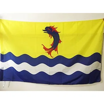 DRAPEAU DRÍ?ME 150x90cm - DRAPEAU DÍ?PARTEMENT DROMOIS 90 x 150 cm Fourreau pour hampe