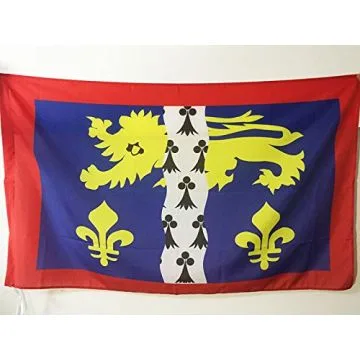 DRAPEAU MAYENNE 150x90cm - DRAPEAU DÍ?PARTEMENT MAYENNAIS 90 x 150 cm Fourreau pour hampe