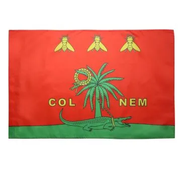 DRAPEAU NÍ?MES COLNEM 150x90cm - DRAPEAU CROCODILE NÍ?MOIS ROMAIN 90 x 150 cm Fourreau pour hampe