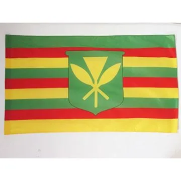 DRAPEAU HAWAII KANAKA MAOLI 150x90cm - DRAPEAU HAWAÏEN KANAK 90 x 150 cm Fourreau pour hampe