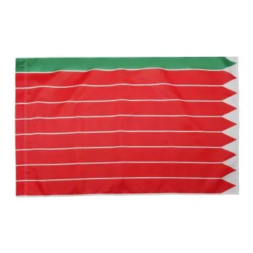 DRAPEAU PROVINCE DE ZAMORA 150x90cm - DRAPEAU ZAMORA EN CASTILLE-ET-LEON 90 x 150 cm Fourreau pour hampe