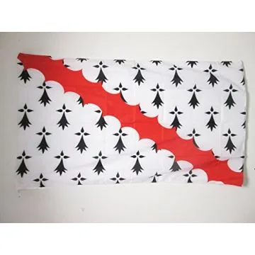 DRAPEAU COMTÍ? DE BROÍ?REC 150x90cm - DRAPEAU BRO-EREG VANNETAIS 90 x 150 cm Fourreau pour hampe