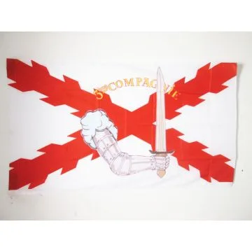 DRAPEAU LÍ?GION WALLONIE 150x90cm - DRAPEAU DE LÍ?ON DEGRELLE 90 x 150 cm Fourreau pour hampe