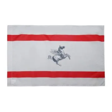 DRAPEAU TOSCANE 150x90cm - DRAPEAU TOSCAN - TOSCANA - ITALIE 90 x 150 cm Fourreau pour hampe
