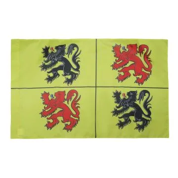 DRAPEAU PROVINCE DU HAINAUT 150x90cm - DRAPEAU DE WALLONIE 90 x 150 cm Fourreau pour hampe