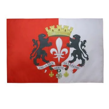 DRAPEAU ROYAUME DE FRANCE GRANDES ARMES 150x90cm - DRAPEAU ROYALISTE FLEUR DE LYS 90 x 150 cm Fourreau pour hampe