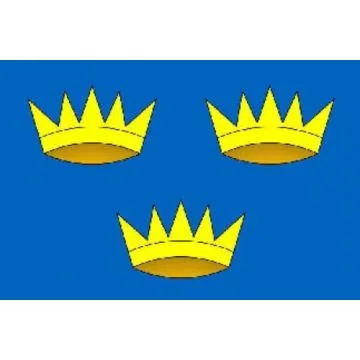 DRAPEAU MUNSTER 150x90cm - DRAPEAU IRLANDAIS - IRLANDE 90 x 150 cm - DRAPEAUX