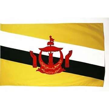 DRAPEAU BRUNEI 250x150cm - DRAPEAU BRUNÍ?IEN 150 x 250 cm Fourreau pour hampe