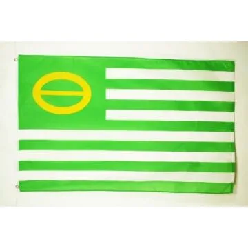 DRAPEAU ECOLOGISTE 150x90cm - DRAPEAU ÉCOLOGIQUE - VERT 90 x 150 cm - DRAPEAUX