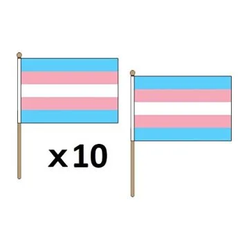 DRAPEAU ARC-EN-CIEL TRANSGENRE 45x30cm HAMPE en bois - LOT DE 10 DRAPEAUX TRANGENDER - RAINBOW 30 x 45 cm