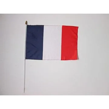 DRAPEAU FRANCE 45x30cm HAMPE blanche - LOT DE 10 DRAPEAUX FRANÇAIS 30 x 45 cm