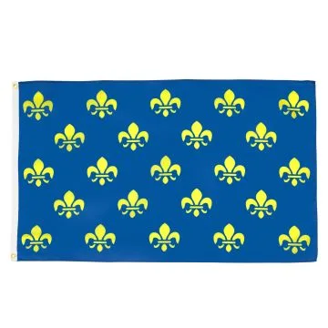 DRAPEAU FLEUR DE LYS BLEU ET OR 150x90cm - DRAPEAU ROYAL FRANÇAIS 90 x 150 cm - DRAPEAUX