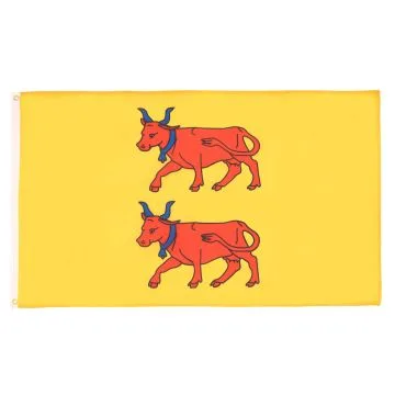 DRAPEAU PROVINCE DU BÉARN 150x90cm - DRAPEAU PYRÉNÉES-ATLANTIQUES - FRANCE 90 x 150 cm - DRAPEAUX