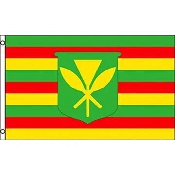 DRAPEAU HAWAII KANAKA MAOLI 150x90cm - DRAPEAU HAWAÏEN KANAK 90 x 150 cm - DRAPEAUX