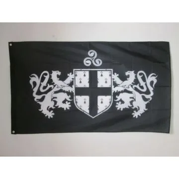 DRAPEAU BLASON DE LA BRETAGNE 150x90cm - DRAPEAU BRETON 90 x 150 cm - DRAPEAUX