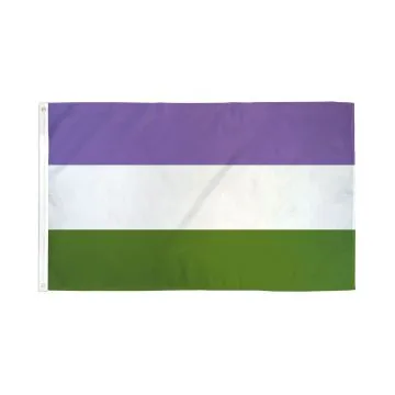 DRAPEAU FIERTÉ GENDERQUEER 150x90cm - DRAPEAU ARC EN CIEL 90 x 150 cm - DRAPEAUX
