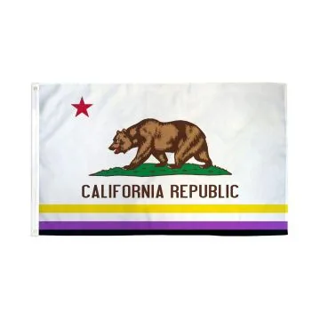 DRAPEAU CALIFORNIE FIERTÉ NON BINAIRE 150x90cm - DRAPEAU GENDERQUEER CALIFORNIEN 90 x 150 cm - DRAPEAUX