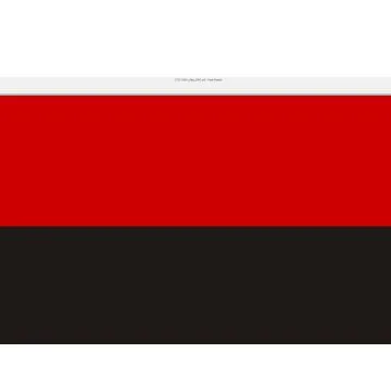 Ukraine Nationalist Flag 3' x 5' 100D polyester grommets