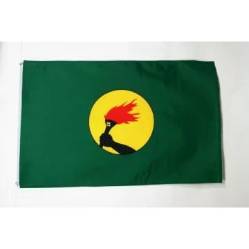 DRAPEAU ZAÏRE 150x90cm - DRAPEAU ZAÏROIS 90 x 150 cm - DRAPEAUX