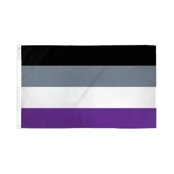 DRAPEAU ARC-EN-CIEL ASEXUEL 150x90cm - DRAPEAU AASEXUALITÉ - RAINBOW 90 x 150 cm - DRAPEAUX