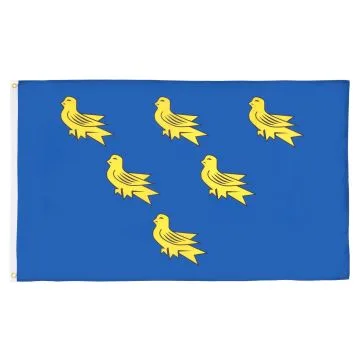 DRAPEAU COMTÉ DE SUSSEX 150x90cm - DRAPEAU COUNTY OF SUSSEX - ANGLETERRE 90 x 150 cm - DRAPEAUX