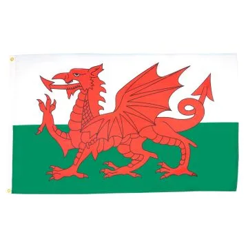 DRAPEAU PAYS DE GALLES 250x150cm - GRAND DRAPEAU GALLOIS 150 x 250 cm