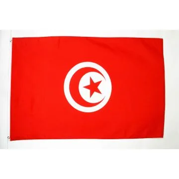 Drapeau Tunisie 250x150cm - GRAND Drapeau tunisien 150 x 250 cm